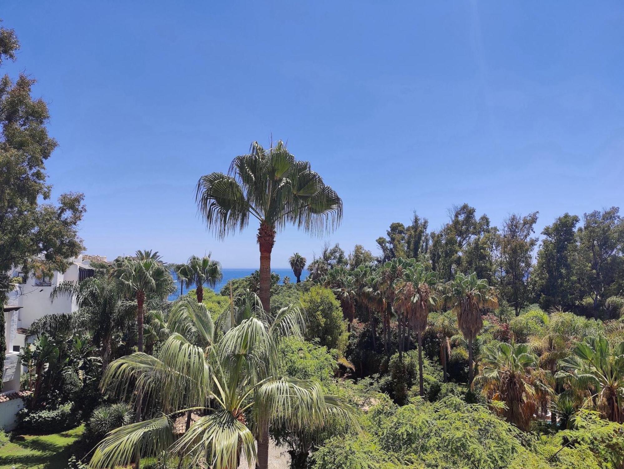 Ventura Del Mar Duplex Penthouse